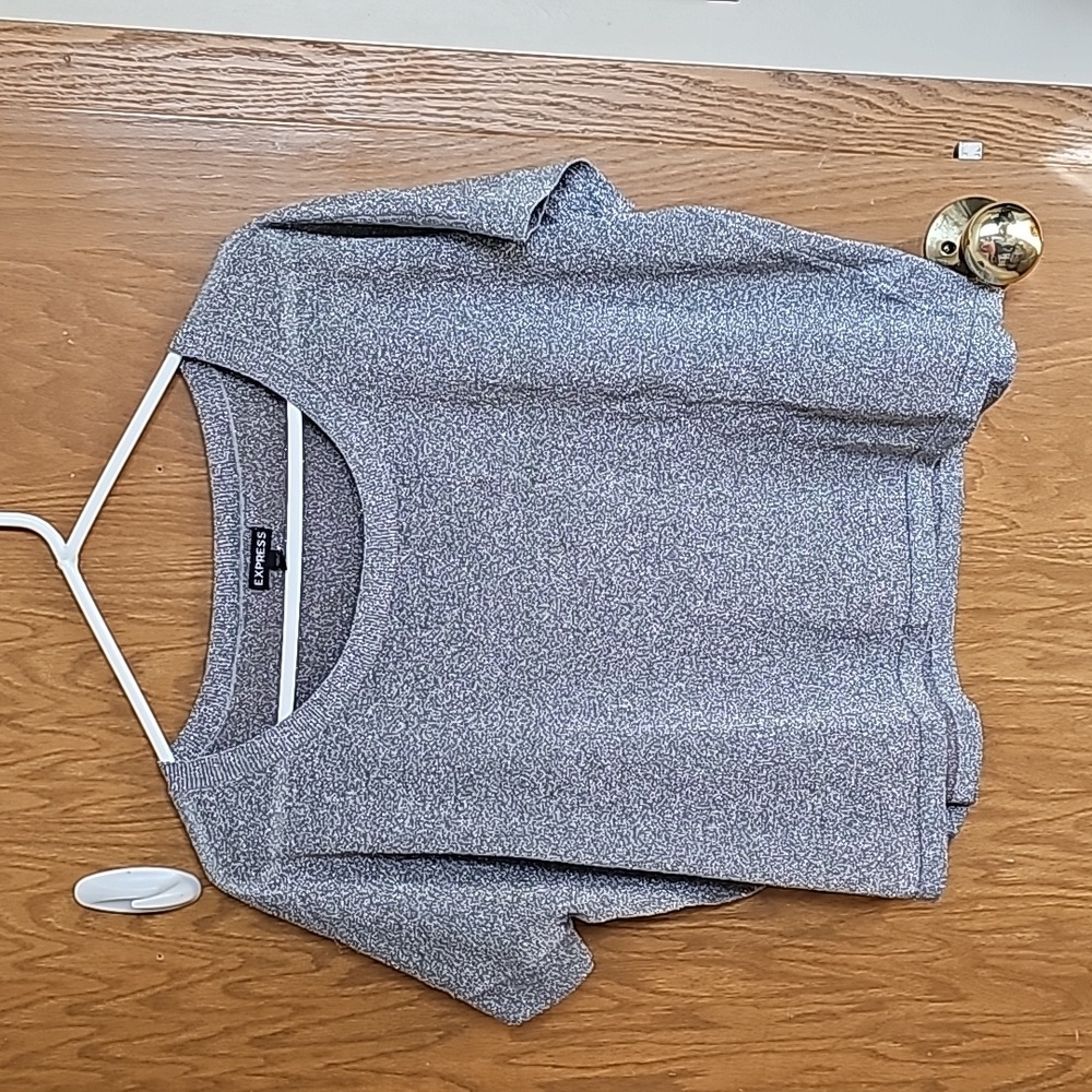 Express cropped top, size medium, sparkly silver top